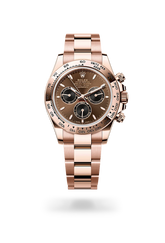 Cosmograph Daytona Auster, 40 mm, Everose-Gold