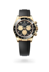 Cosmograph Daytona Auster, 40 mm, Gelbgold